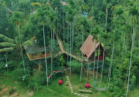 Wayanad Duplex Tree House