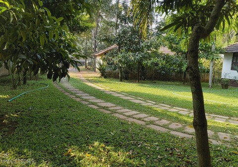 The Mangosteen Home Stay