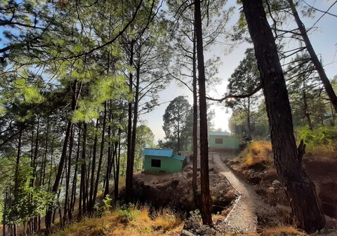 Rohini village homestay