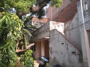 The Green Vintage House, Varanasi The Green Vintage House, Varanasi