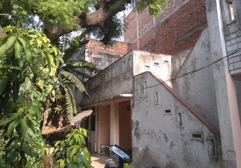 The Green Vintage House