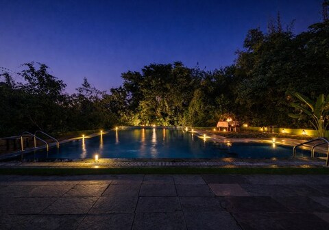 Mahua Tola Tadoba