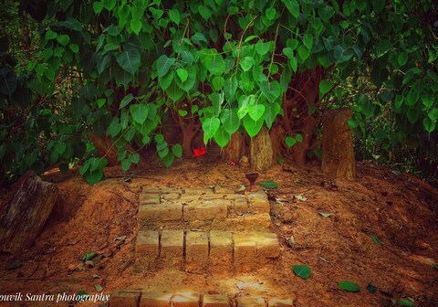 Theatre House Farmstay, Nisha Cottage