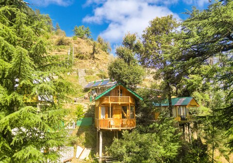 Cliff Haven Duplex Tree House