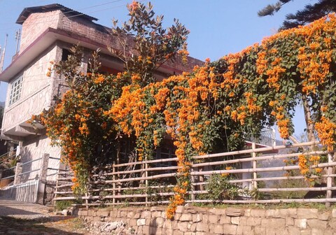 SILENT ECHO FARMSTAY BARA MANGWA