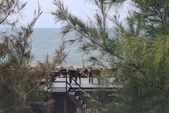 Lucas Beach House Fort Cochin, Cochin Lucas Beach House Fort Cochin, Cochin