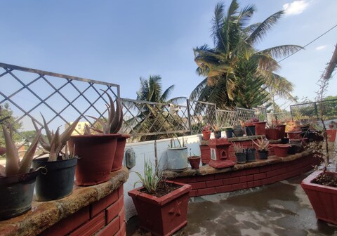 The Avatar Life Penthouse in the heart of the City