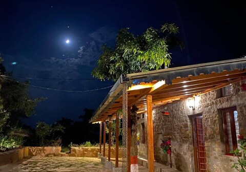 Peacock the gazaari hills