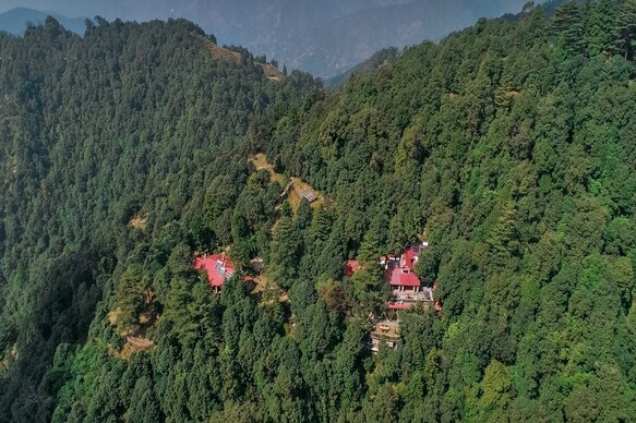 Mary Budden Estate