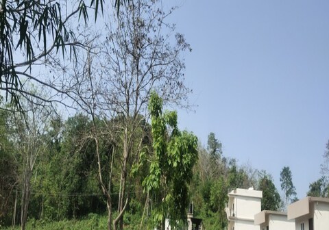 Seven hills resorts and tourism