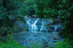 Wild Courtyard Resort Vythiri, Wayanad Wild Courtyard Resort Vythiri, Wayanad