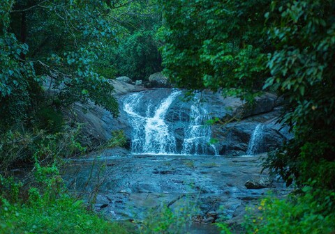 Wild Courtyard Resort Vythiri