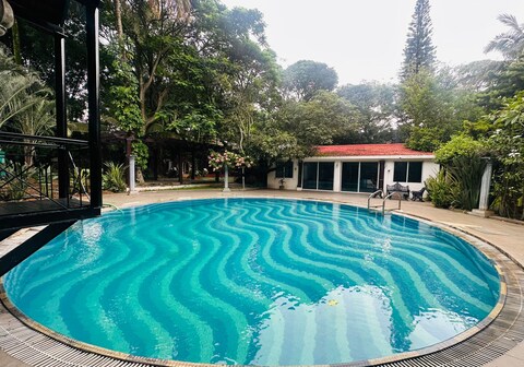 The Amore Collective