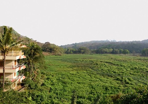 Jungle Palace | Next to Periyar Tiger Reserve