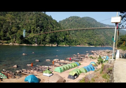 Willow Creek Campsite