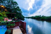 Poorna Birdsong, Goa Poorna Birdsong, Goa