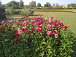 Holiday Home Stay, Khajuraho Holiday Home Stay, Khajuraho