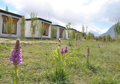 Sky view Cottages | Experience the luxury