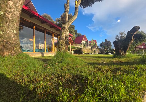 The Jungle Hook Binsar