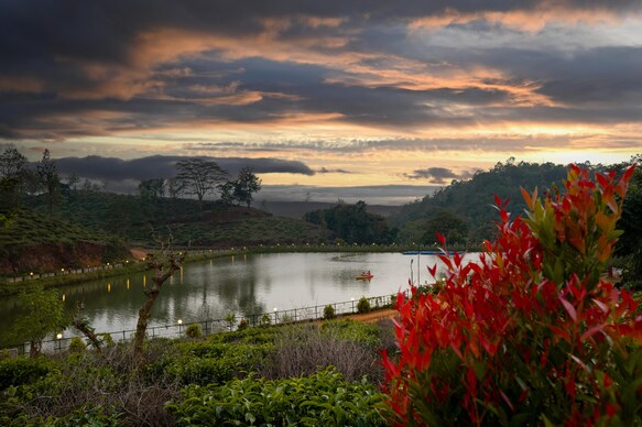 Jungle View resort