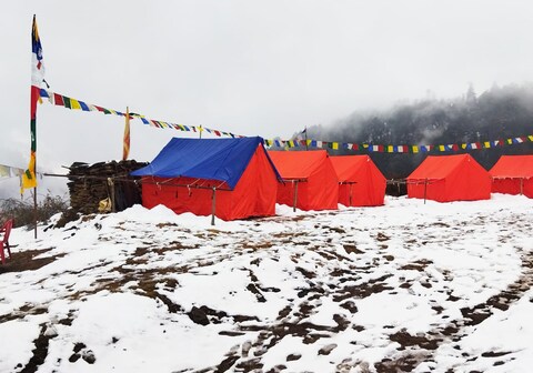 Grand Auli Camp