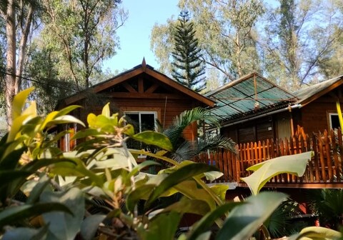 THE JUNGLE RESORT, AMBA