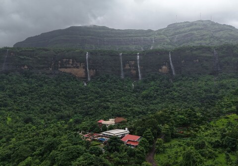 Misty Falls