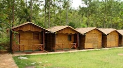 Deep Jungle Home, Masinagudi Deep Jungle Home, Masinagudi
