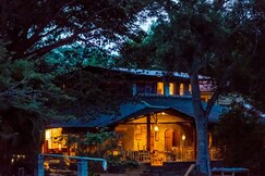 Jungle Hut Resorts, Masinagudi Jungle Hut Resorts, Masinagudi