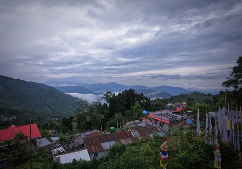 Goo Tea Hill Entire Property