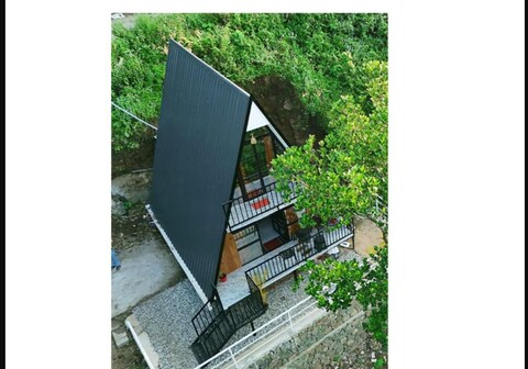 Vagamon Forest Canopy