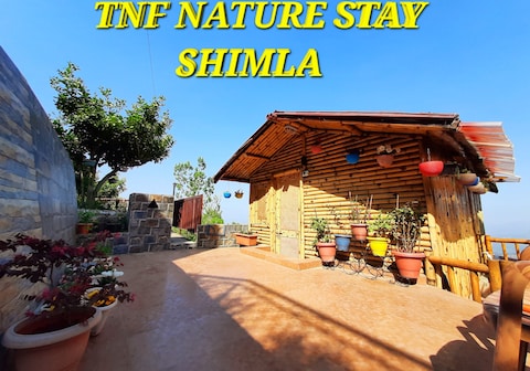 TNF....A Nature Stay In Shimla