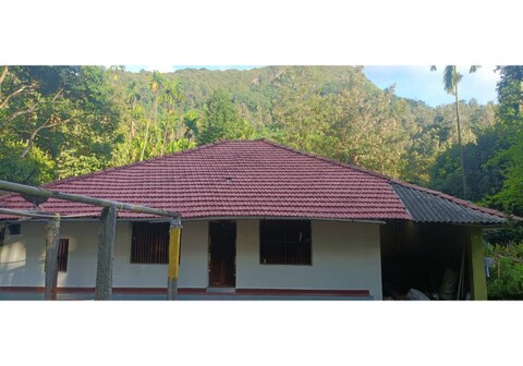 Green Heaven Homestay