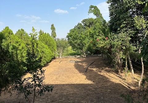 Chk Emerald Villas Pushkar