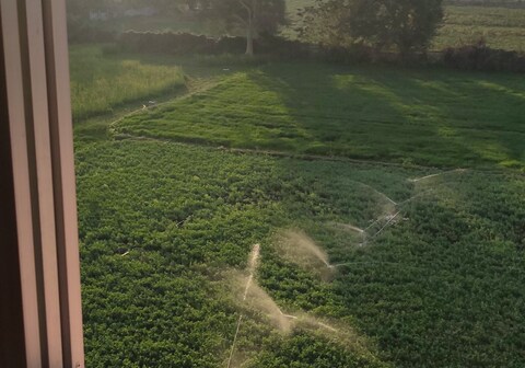 Love & Peace Apartment