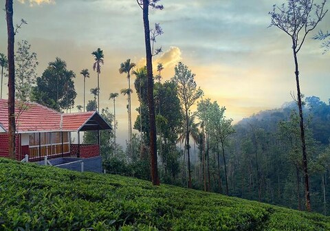 Mayflower Holiday Villa