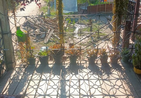 Asomi Riku Yein Homestay