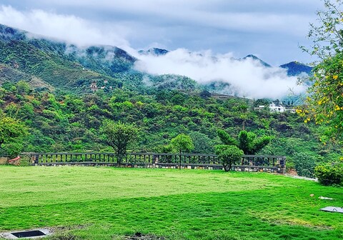 Olive Green Homestay