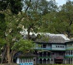 Hotel Green Valley Sarahan, Shimla Hotel Green Valley Sarahan, Shimla