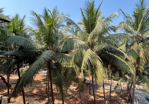 Baga Seawinds Luxury Studio Pool Walk To Beach