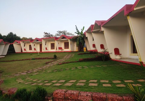 Maior Roma by Jolly Jolly Lester