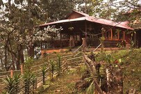 Munlom Resort Single Cottage, Gangtok Munlom Resort Single Cottage, Gangtok