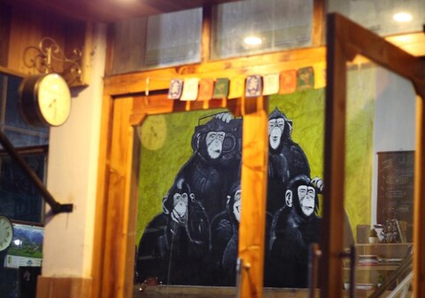 Mad Monkeyss Manali