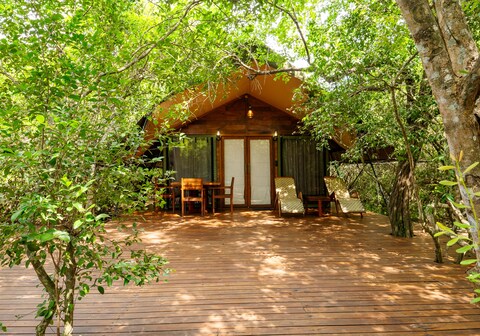 Leopard Reach Yala By Seven Angels