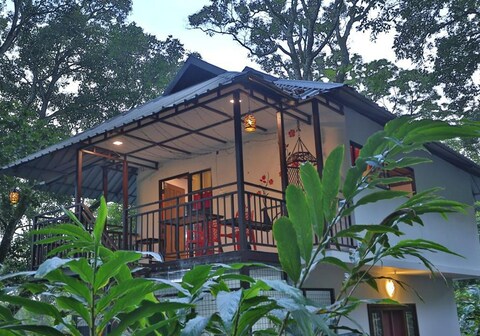 Double Trees Staycation