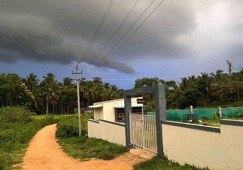 The Birds Nest Homestay