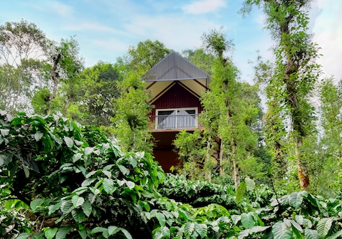 Wayanad Whistling Woods