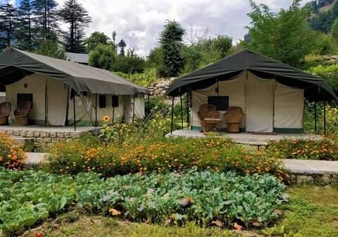 Kinner Camps Sangla | Tents & Caretaler