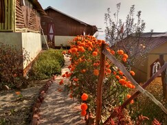 Tarini Homes, Shimla Tarini Homes, Shimla