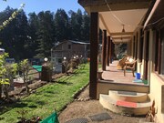 Green Forest Guest House, Manali Green Forest Guest House, Manali